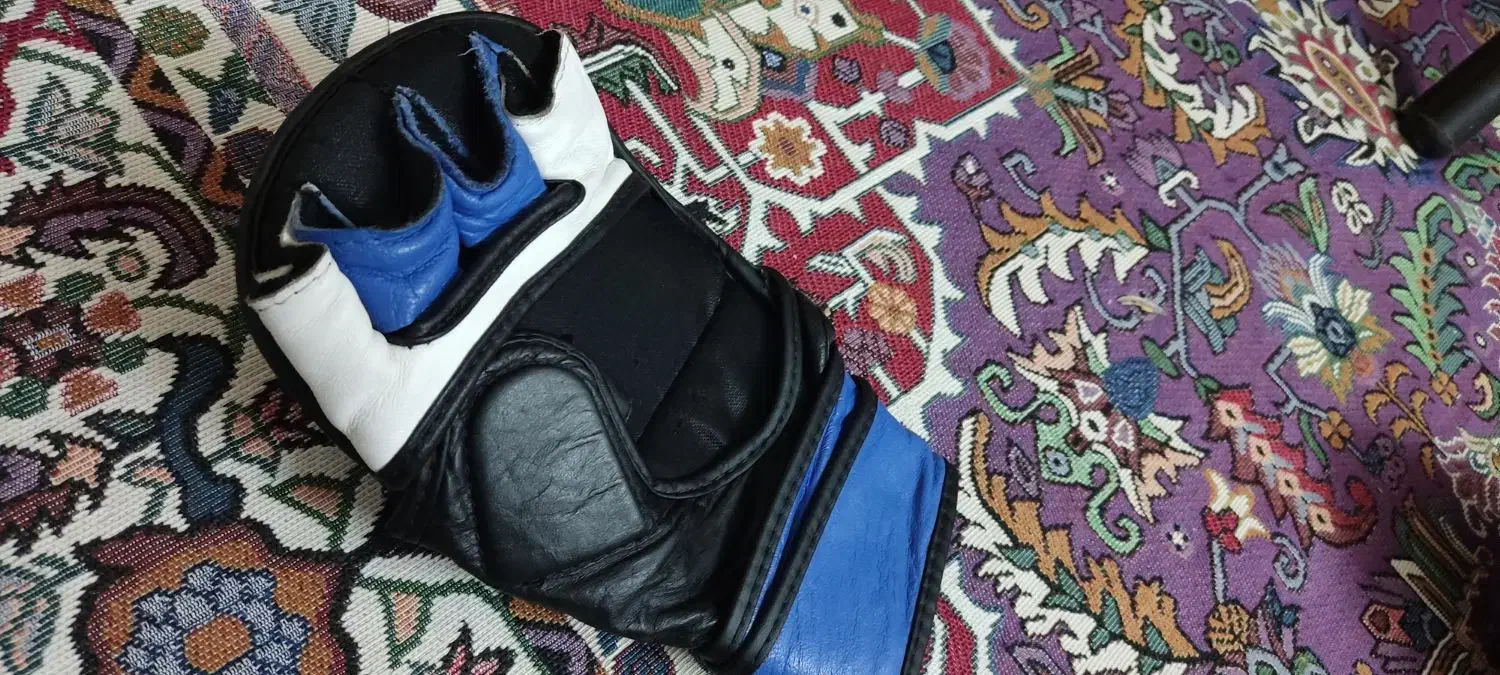 دستکش MMA|تجهیزات ورزشی|تربت‌حیدریه, بوستان باغ ملی|دیوار