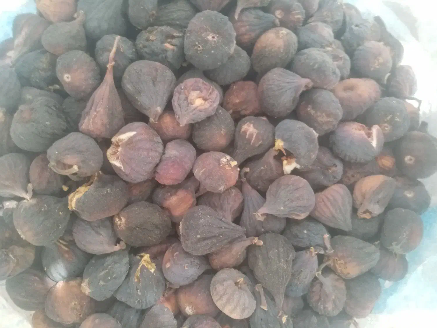 انجیر خشک تازه و تمیز کاملا ارگانیک|خوردنی و آشامیدنی|شیراز, ارم|دیوار