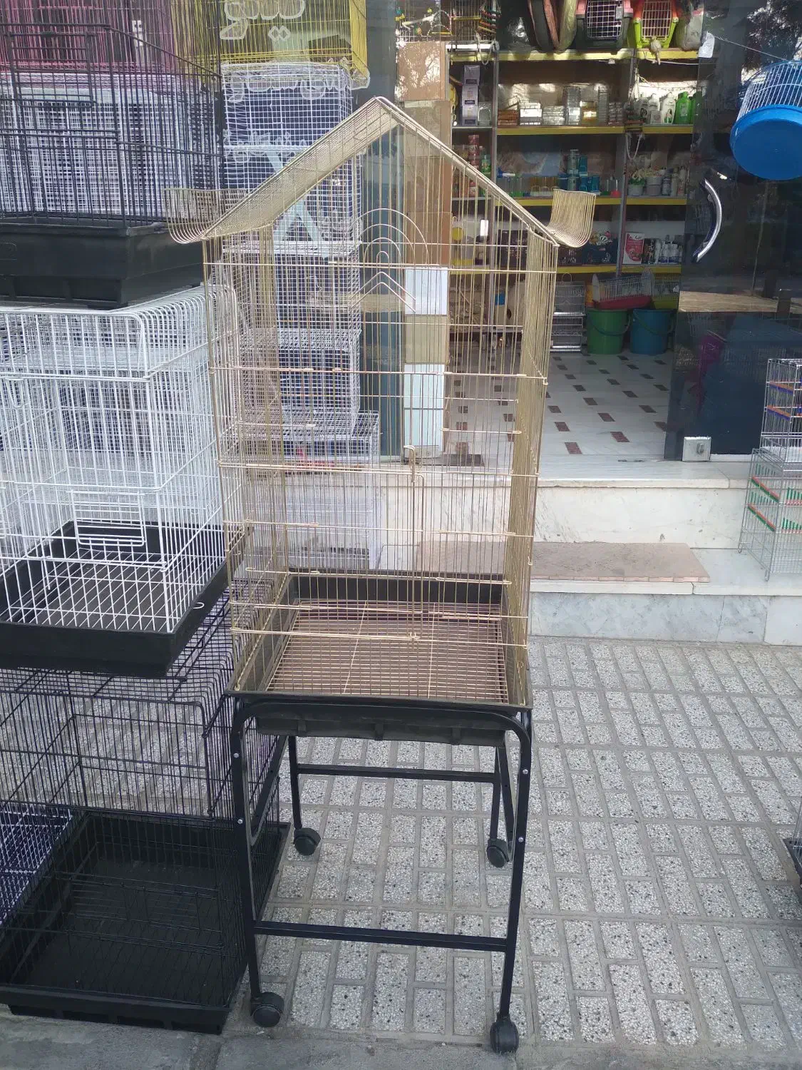 کلکسیون قفس های پرنده|لوازم جانبی حیوانات|تربت‌حیدریه, شهید قرنی|دیوار