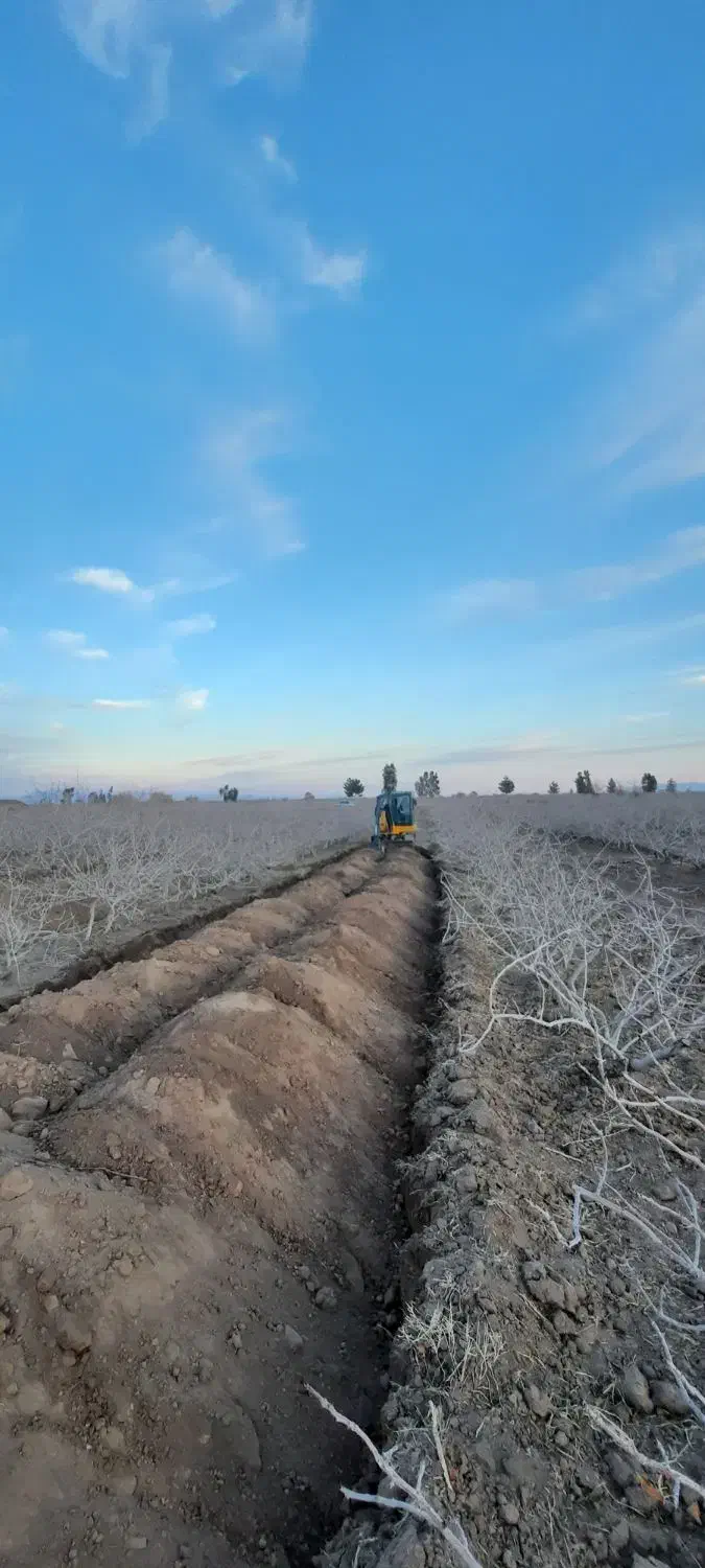 مینی بیل مکانیکی کانال خاکبرداری چالکود|خدمات باغبانی و درختکاری|رفسنجان, |دیوار