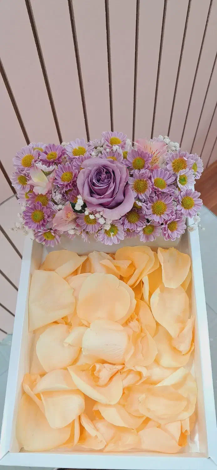 سوپرایز گل|گل و گیاه طبیعی|بندرعباس, |دیوار