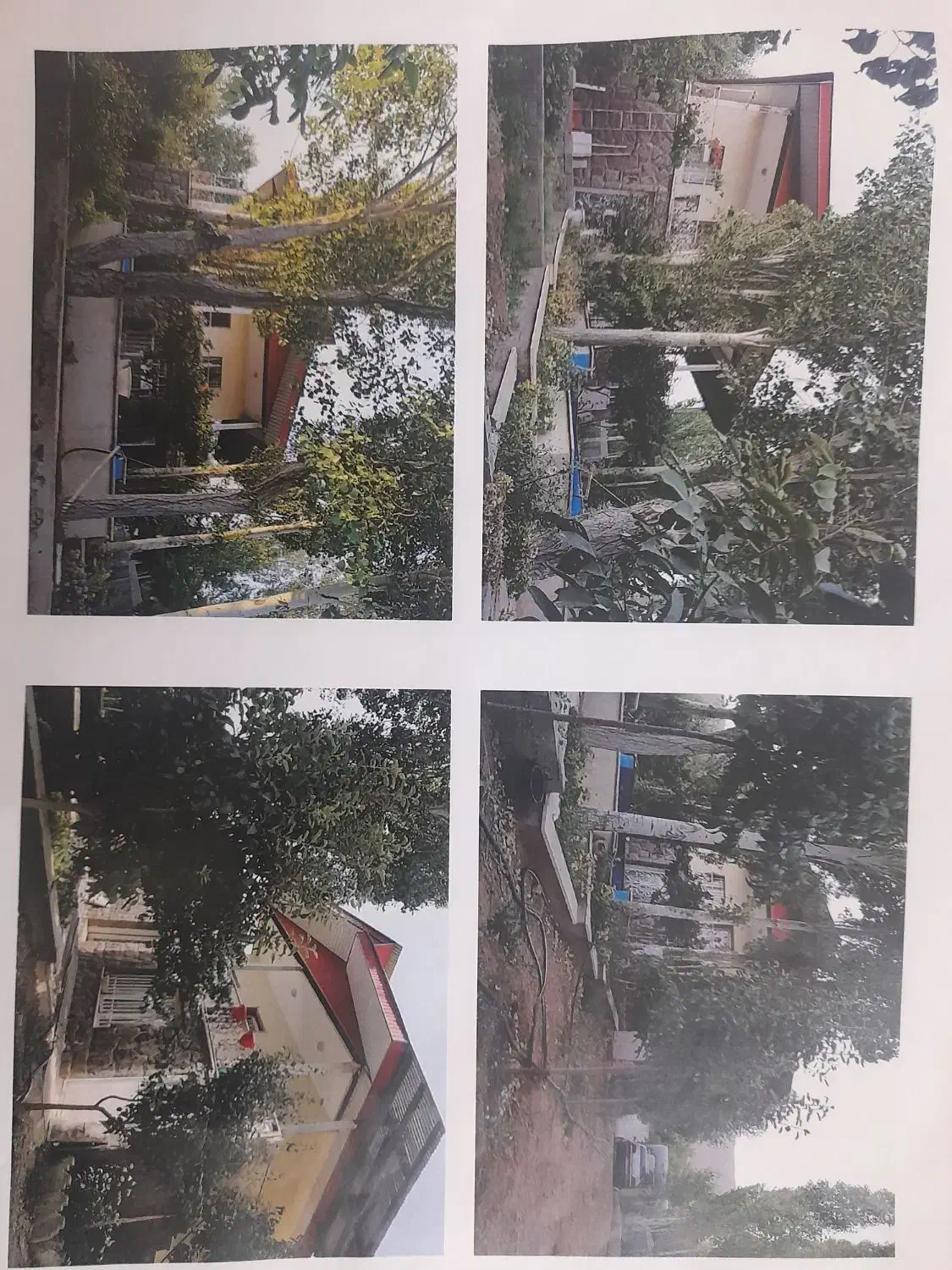 باغ ویلا|فروش خانه و ویلا|آبعلی, |دیوار