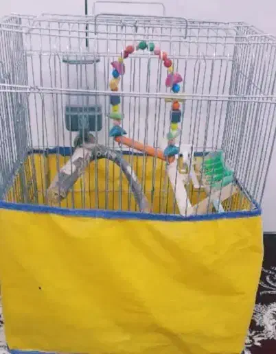 قفس برای تمامی پرنده ها با تمام وسایل|لوازم جانبی حیوانات|سنندج, |دیوار