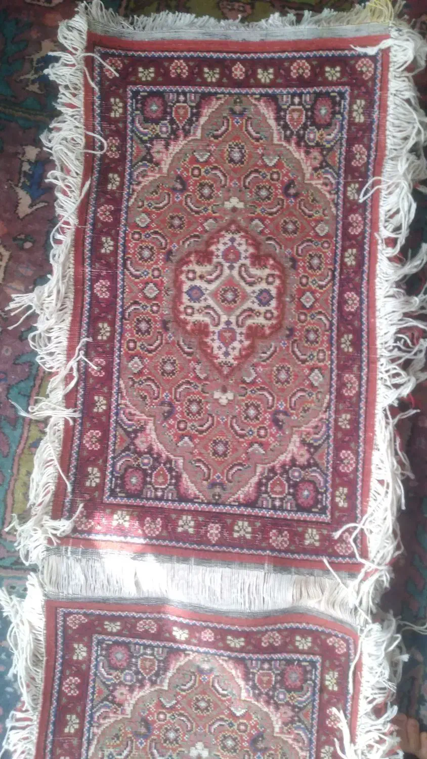 پادری ریزماهی دست بافت|فرش|اردبیل, |دیوار