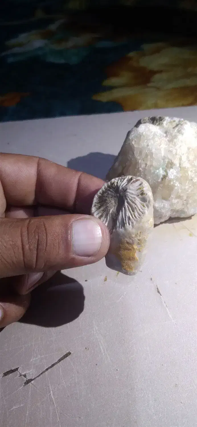 سنگ قیمتی|جواهرات|علیآباد کتول, |دیوار