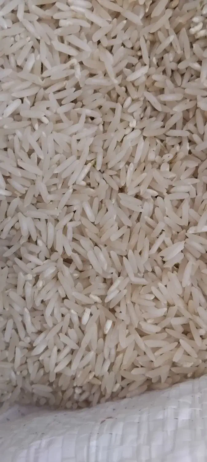برنج طارم|خوردنی و آشامیدنی|ایلام, |دیوار