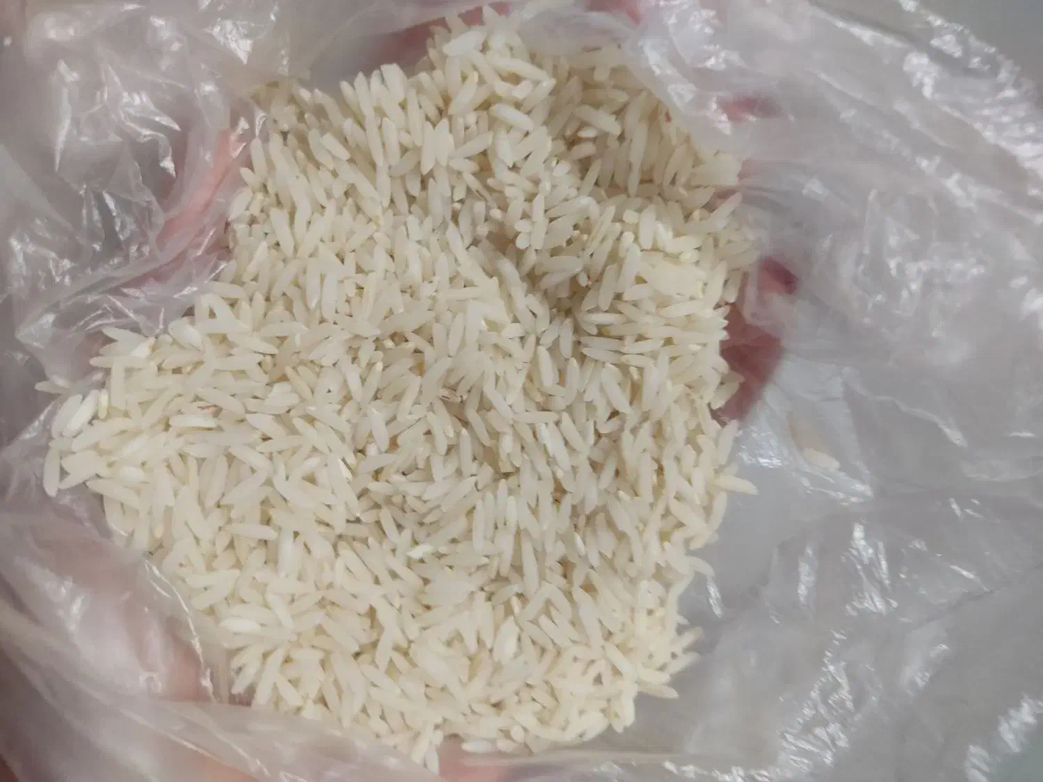 برنج طارم فریدونکنار|خوردنی و آشامیدنی|فریدونکنار, |دیوار