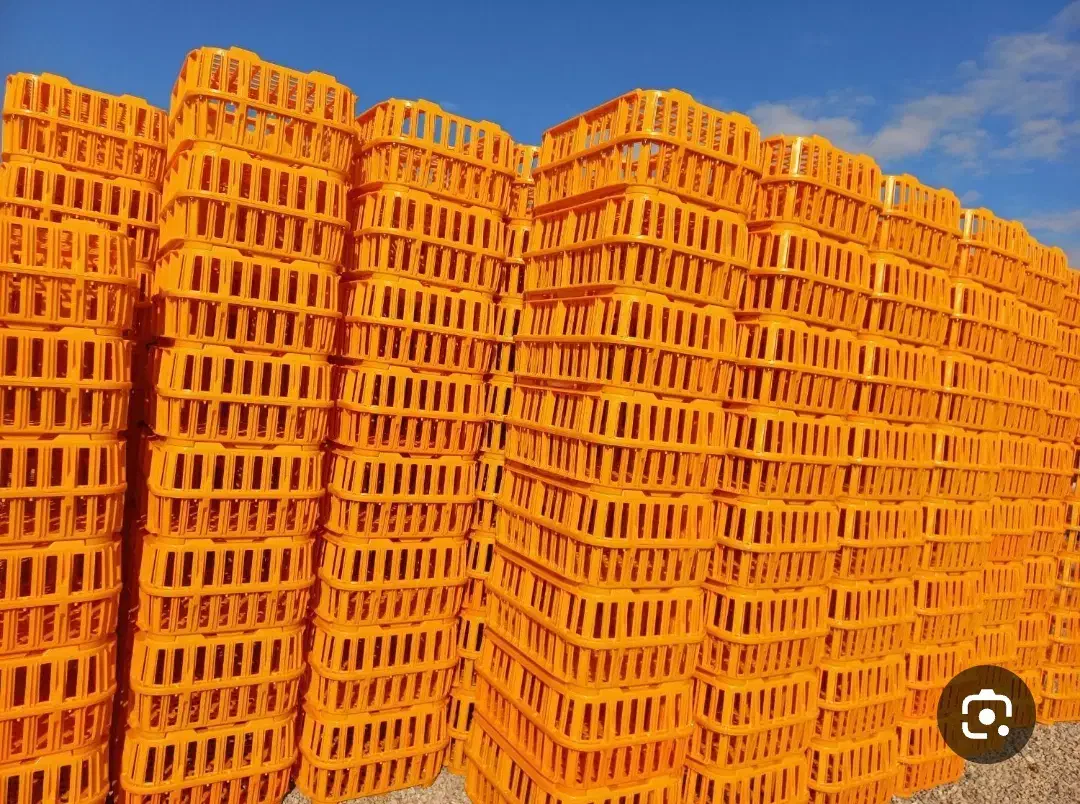 قفس حمل مرغ زنده|عمده‌فروشی|آباده, |دیوار