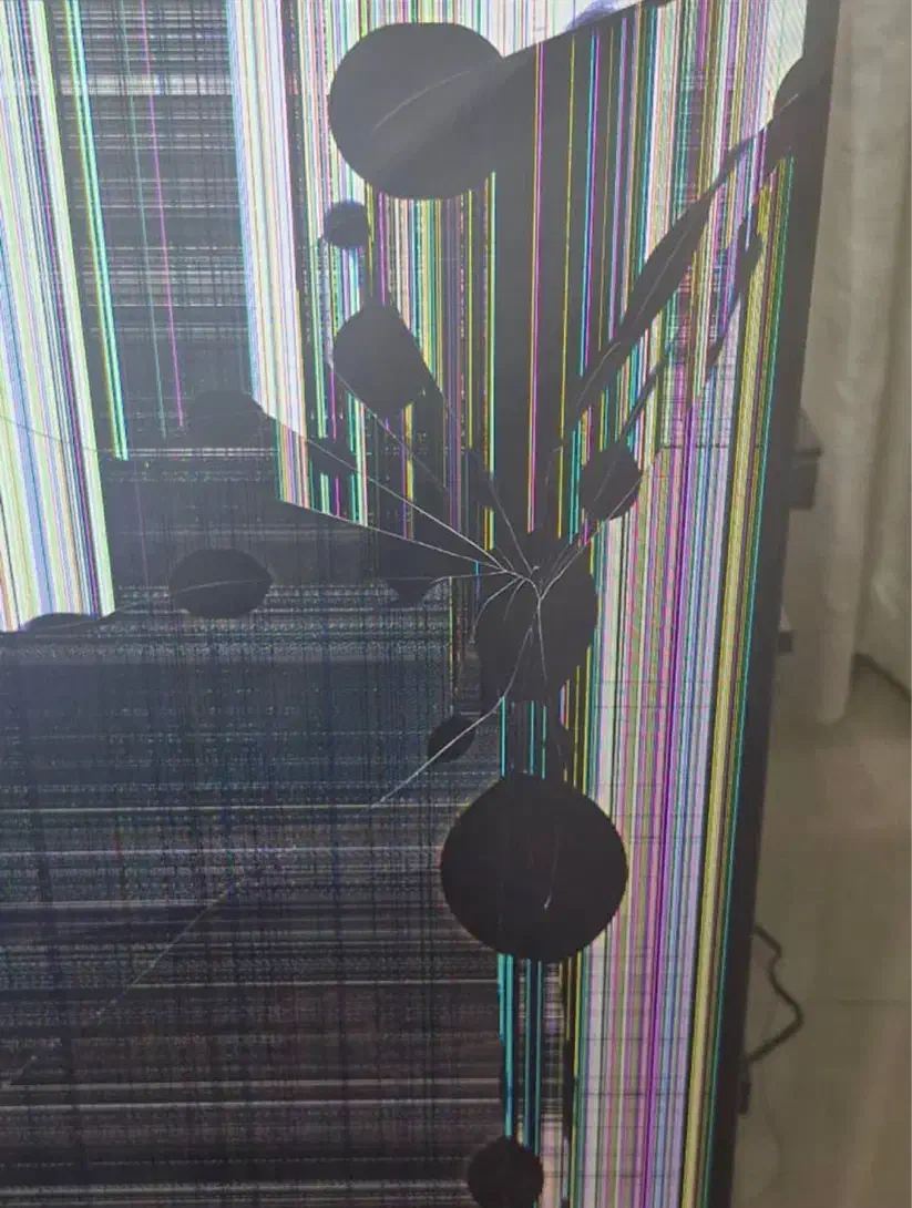 تلویزیون ایکس ویژن ۶۵ اینچ|تلویزیون و پروژکتور|بندر انزلی, کوی واحدی|دیوار