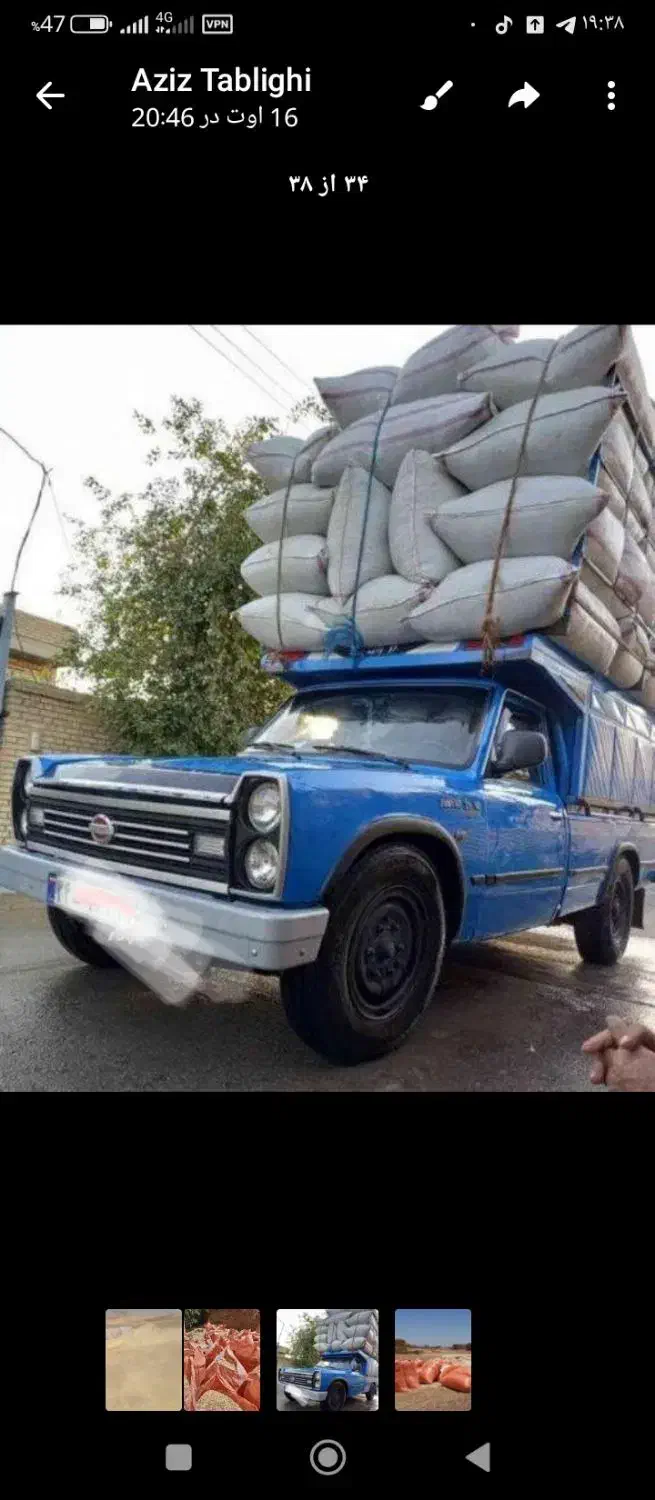 فروش کاه دیم|لوازم جانبی حیوانات|اشنویه, |دیوار