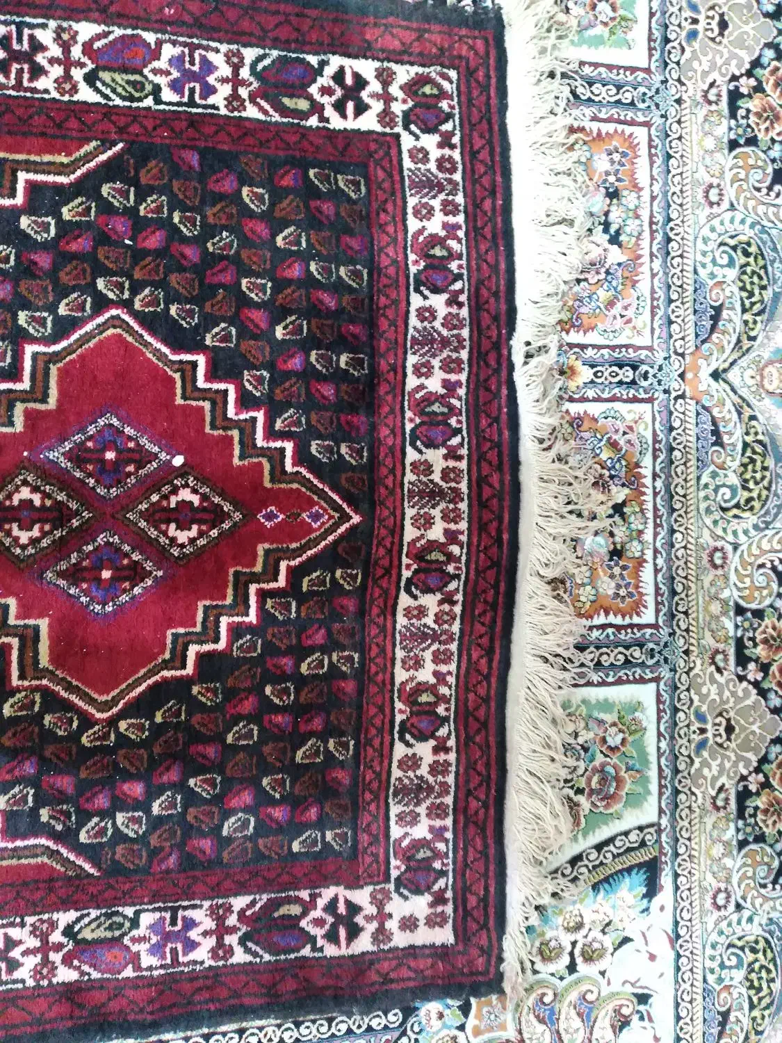 قالی دستباف نو|فرش|زاهدان, |دیوار