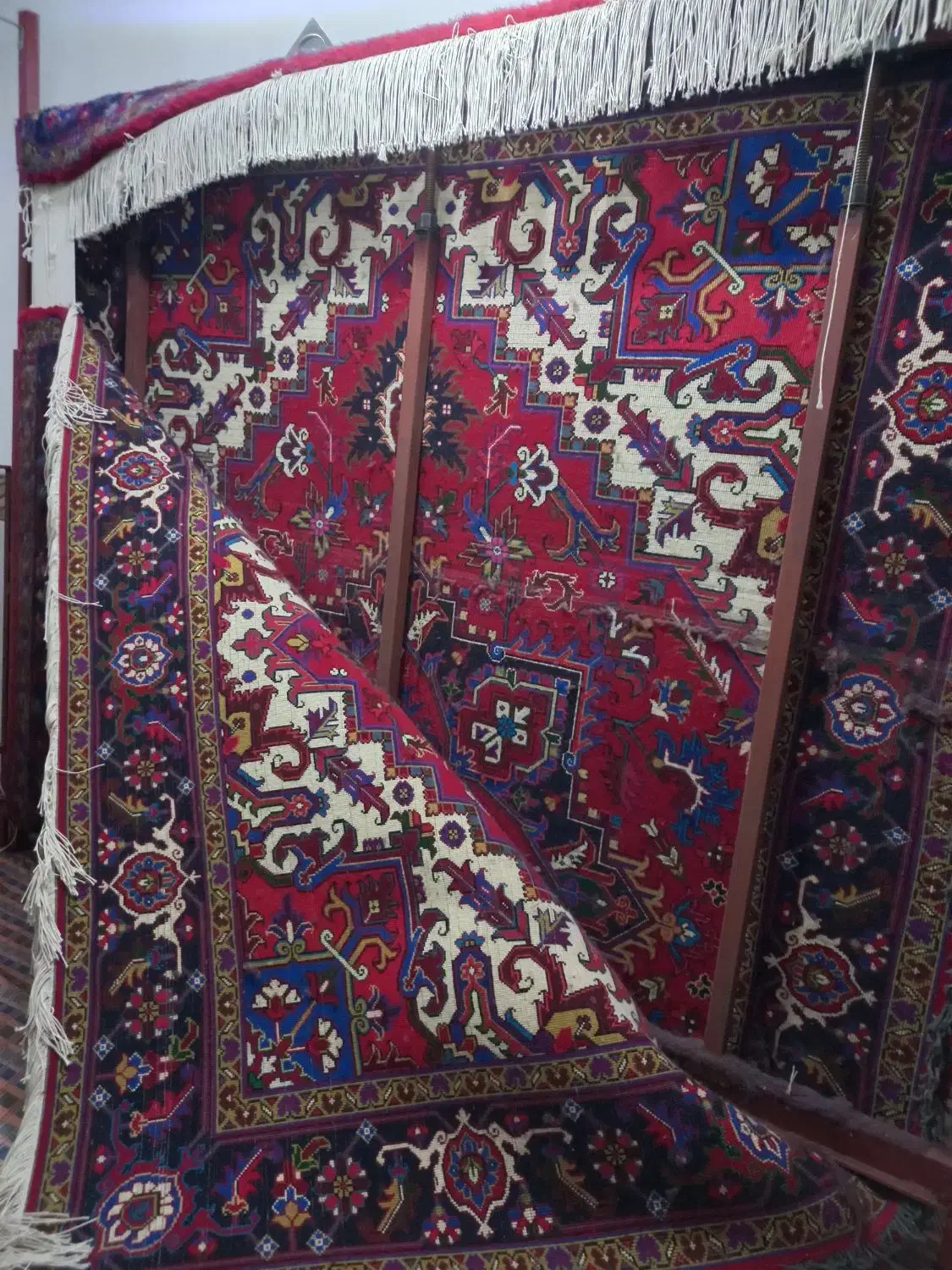 قالی ۹ متری دستباف|فرش|قم, انسجام|دیوار