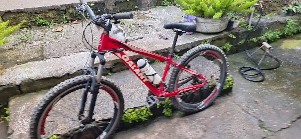 دوچرخه|دوچرخه، اسکیت، اسکوتر|لاهیجان, حاجی آباد|دیوار