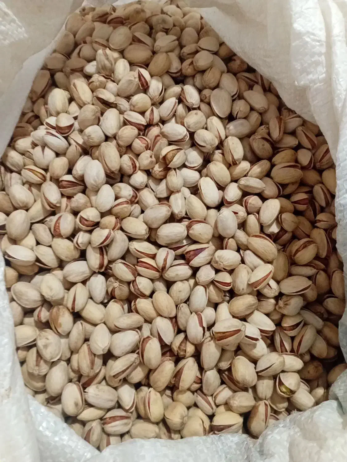 پسته درجه یک|خوردنی و آشامیدنی|نیشابور, دارایی|دیوار