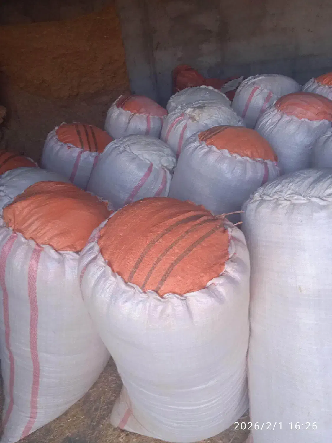 کاه گندم|حراج|ایذه, |دیوار