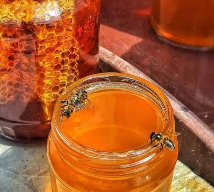 عسل ناب آذربایجان شرقی صددرصد خالص وبدون افزودنی|خوردنی و آشامیدنی|اردبیل, |دیوار