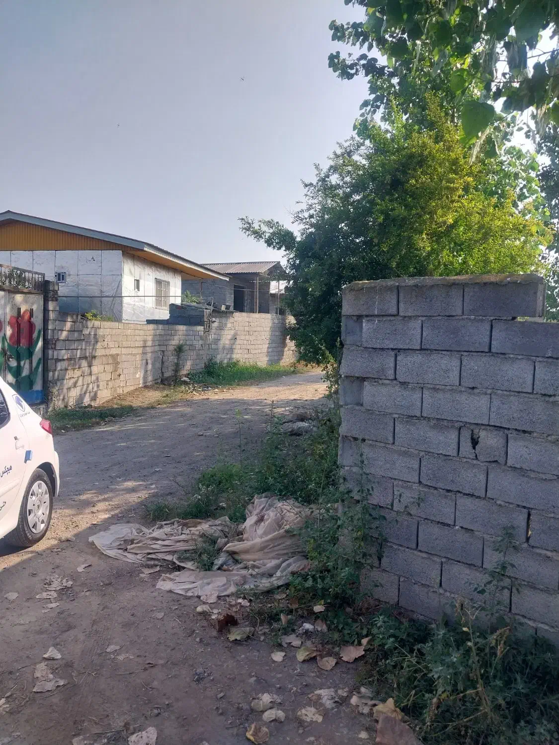 فروش فوری زمین  باغی|فروش زمین و ملک کلنگی|دابودشت, |دیوار