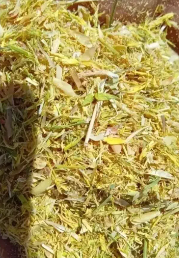 کاه عدس|لوازم جانبی حیوانات|مرادلو, |دیوار