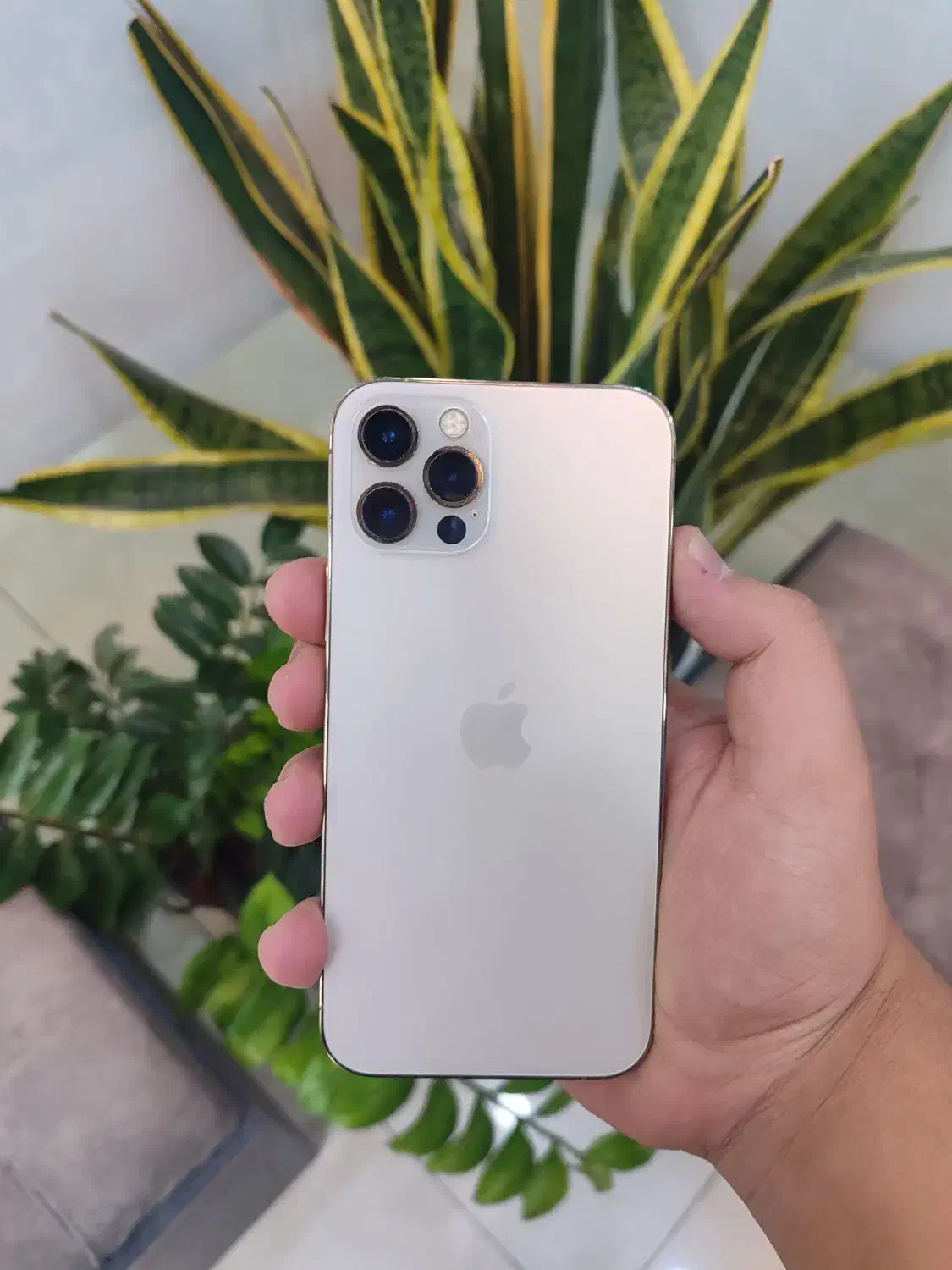 آیفون ۱۲ پرو  رنگ Gold|موبایل|اصفهان, مفتح|دیوار