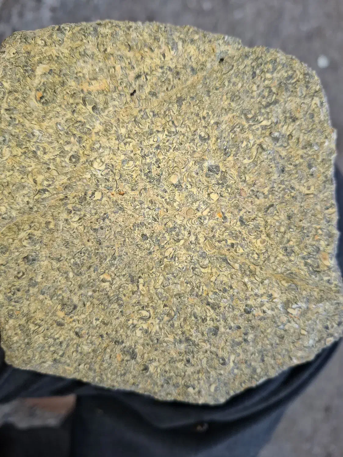 سنگ زیبا|کلکسیون اشیاء عتیقه|دهدشت, |دیوار