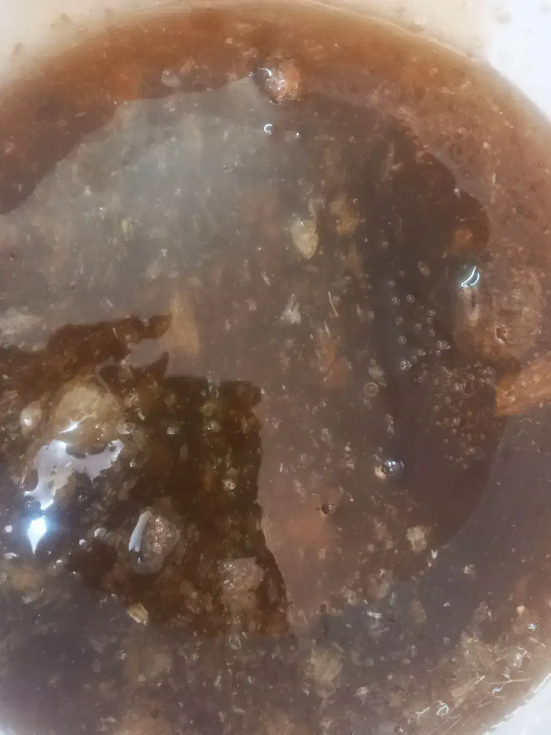 عسل کوهی درمانی|خوردنی و آشامیدنی|فیروزآباد (لرستان), |دیوار