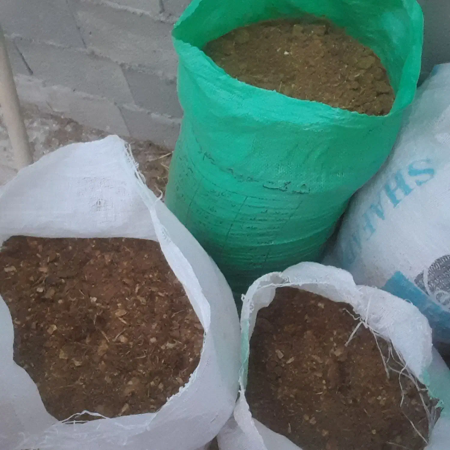 کودمرغی مخلوط خاک اره سیاه|گل و گیاه طبیعی|بندر ترکمن, |دیوار