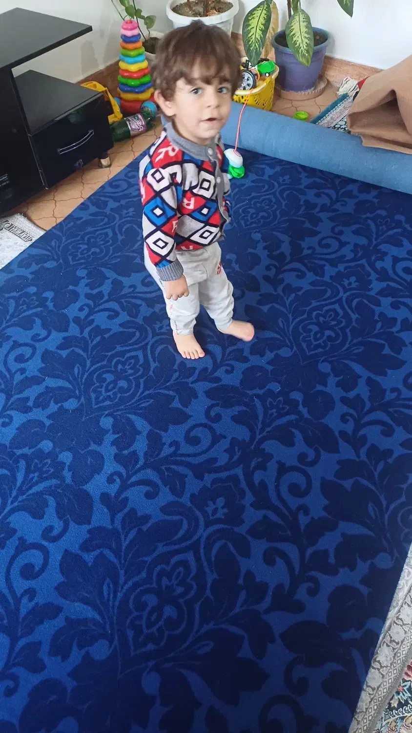 موکت مناسب خانه باغ|موکت|مهاباد (آذربایجان غربی), |دیوار