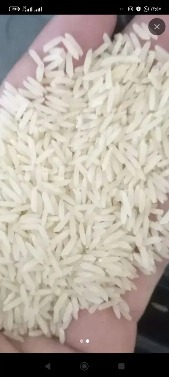 برنج دم سیاه ویسیان|خوردنی و آشامیدنی|ویسیان, |دیوار