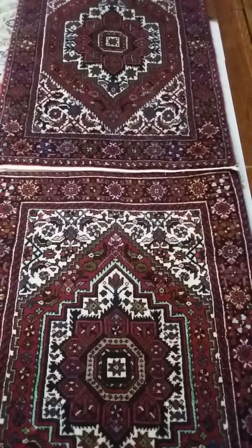 یک جفت فرش نو دستبافت بیجار|فرش|قم, بوستان علوی|دیوار