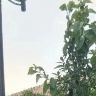 راهنمایی داوطلبانه|فعالیت داوطلبانه|ایرانشهر, |دیوار