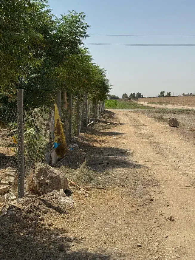 زمین ۱۰۰۰ متری داوودآباد/ مناسب باغ و گلخونه|فروش زمین و ملک کلنگی|قرچک, داوود آباد|دیوار