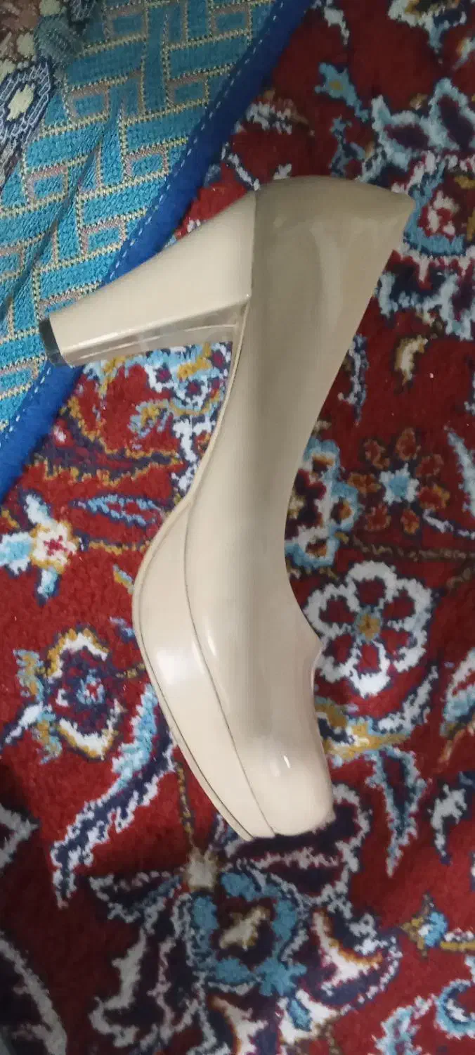 کتونی مجلسی|کیف، کفش، کمربند|پاکدشت, خاتون آباد|دیوار