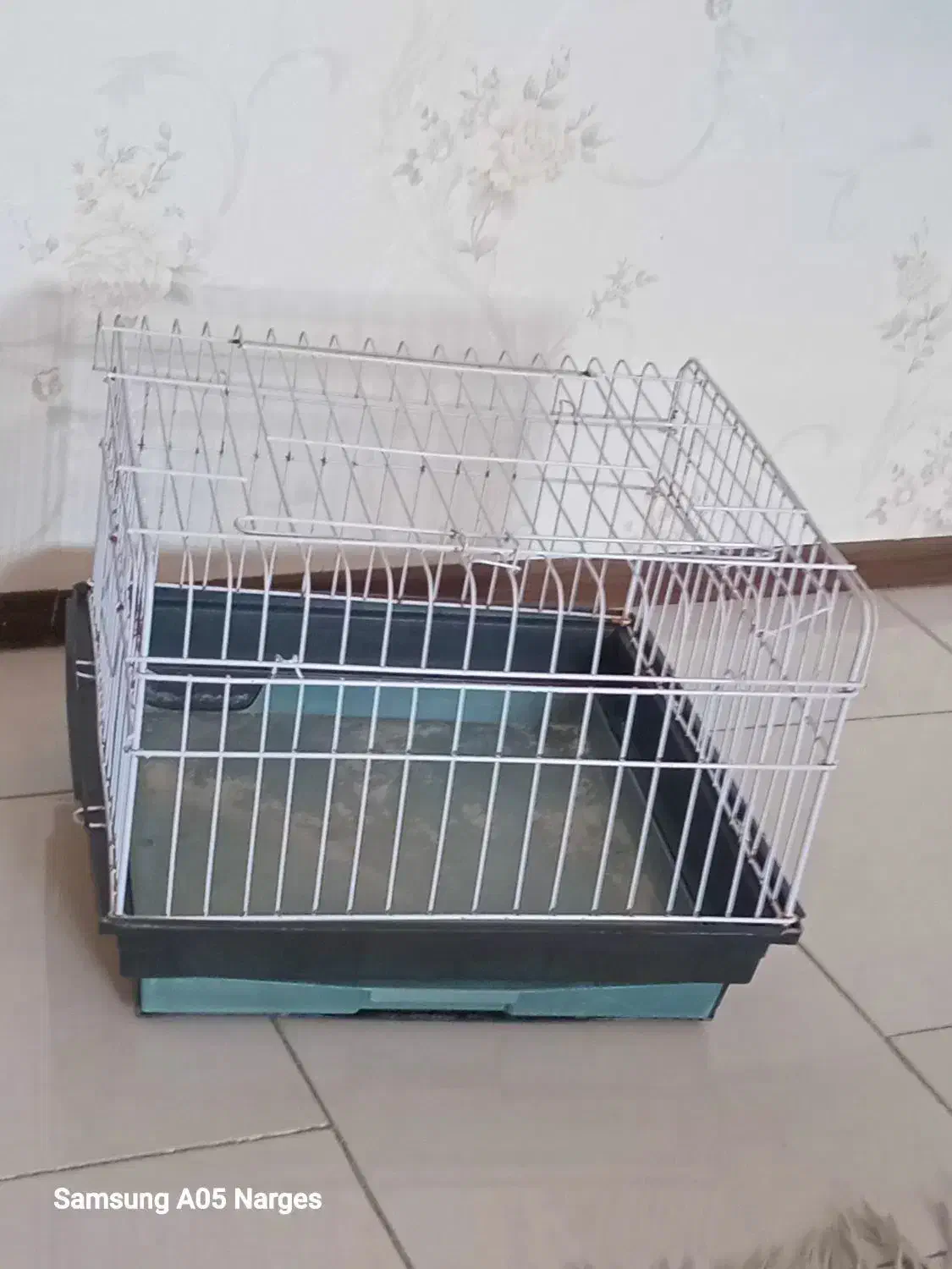 قفس|موش و خرگوش|پردیس, فاز ۱۱|دیوار