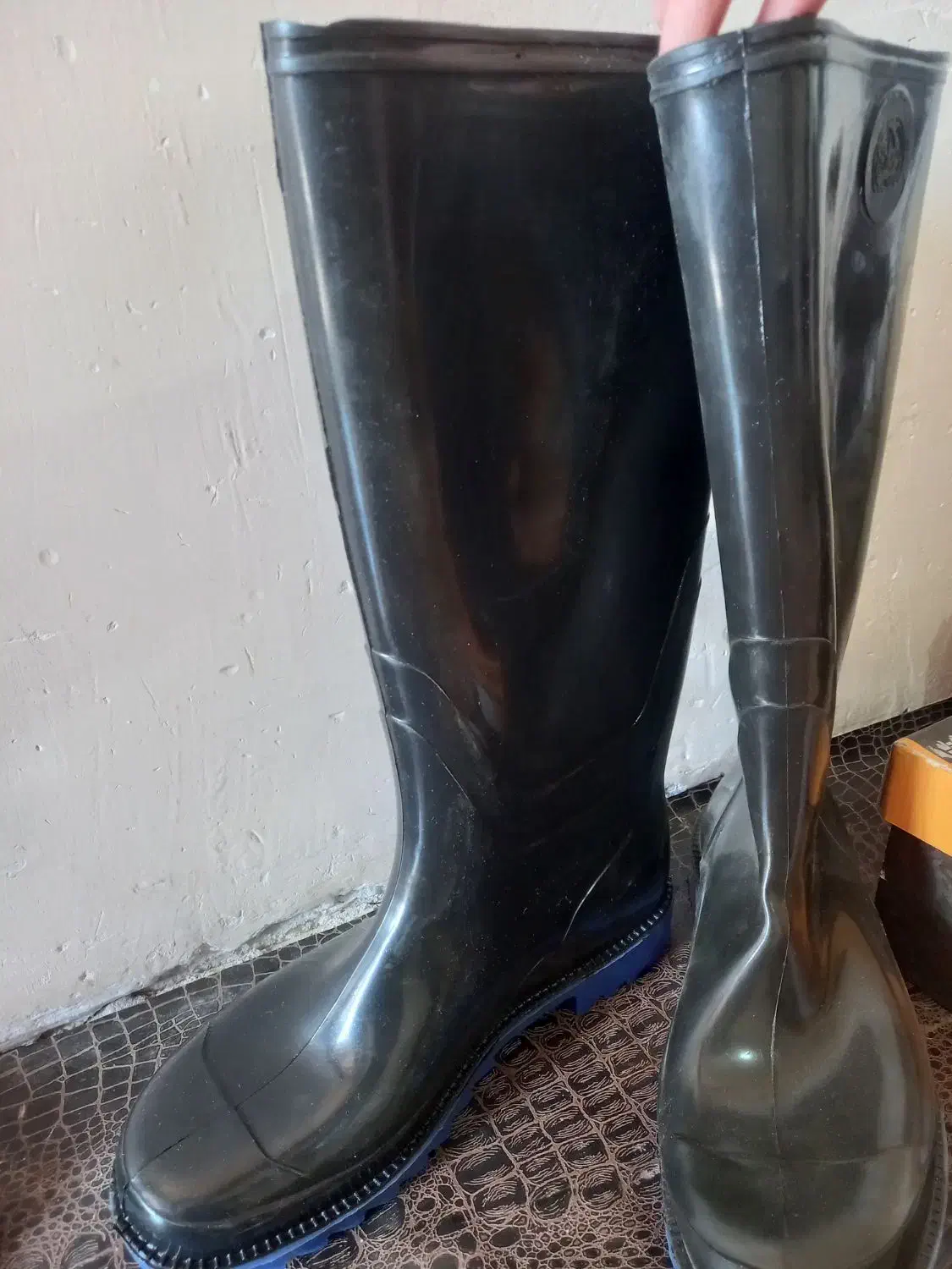 کفش ایمنی وچکمه|کیف، کفش، کمربند|ایلام, |دیوار