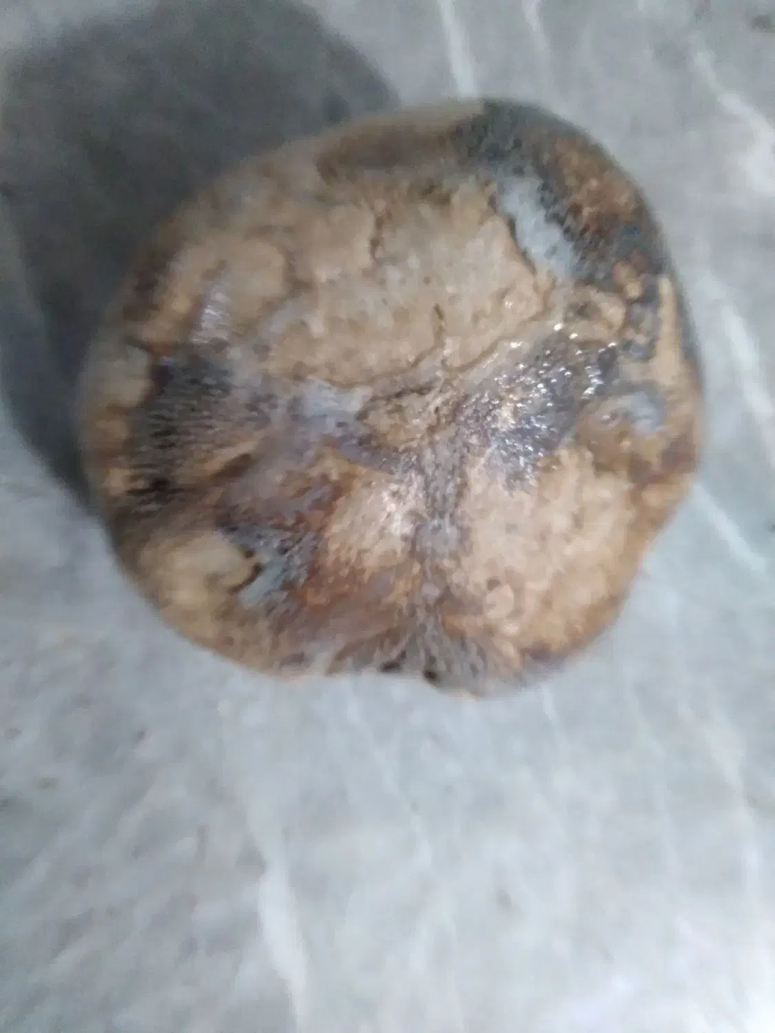 سنگ|جواهرات|بندرعباس, |دیوار