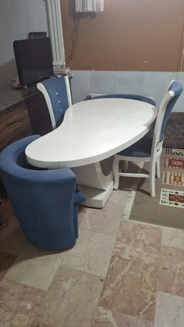 میز وصندلی نهارخوری|میز و صندلی غذاخوری|حمیدیا, |دیوار