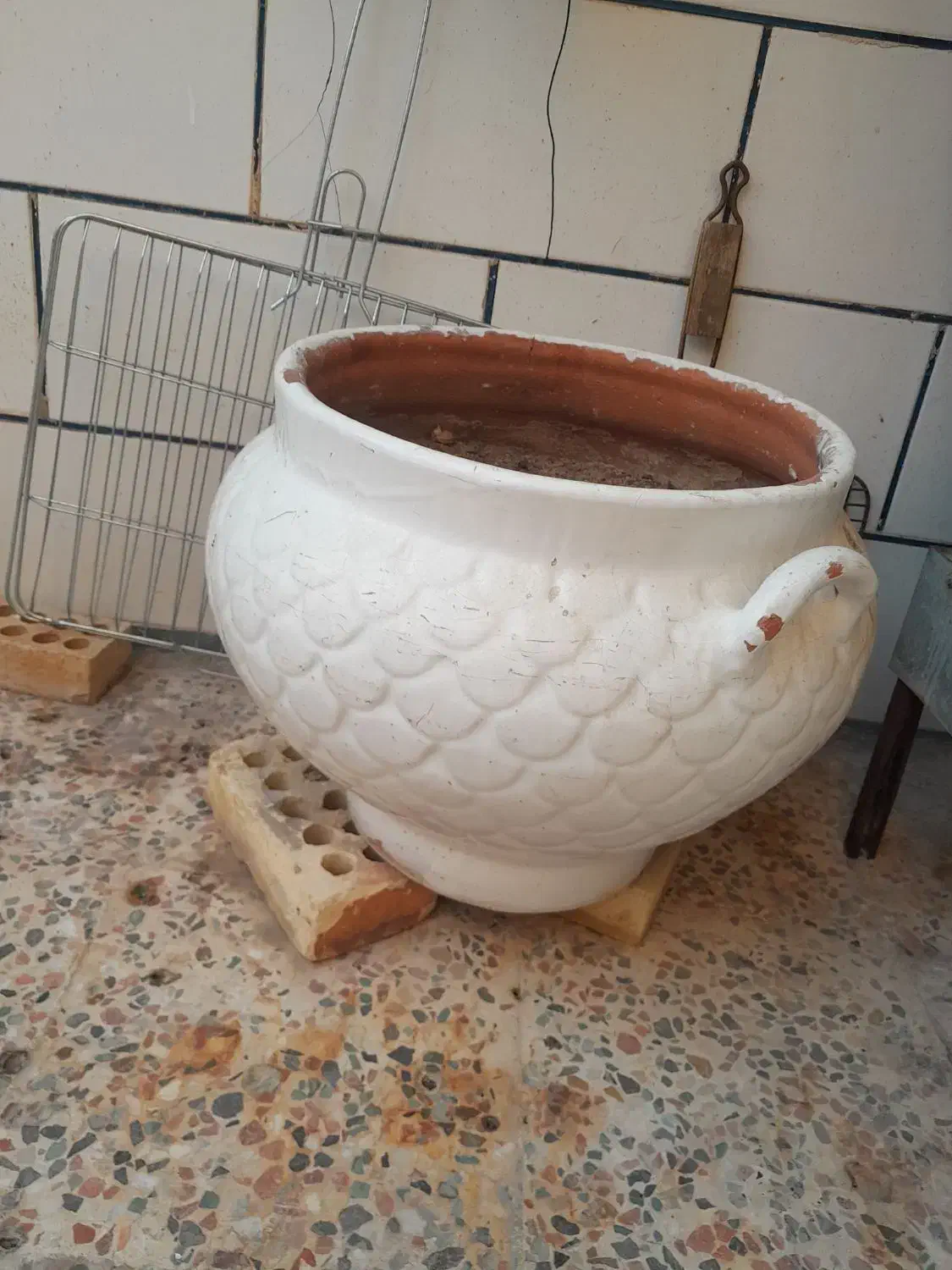 گلدان|گل و گیاه طبیعی|بندر ماهشهر, |دیوار