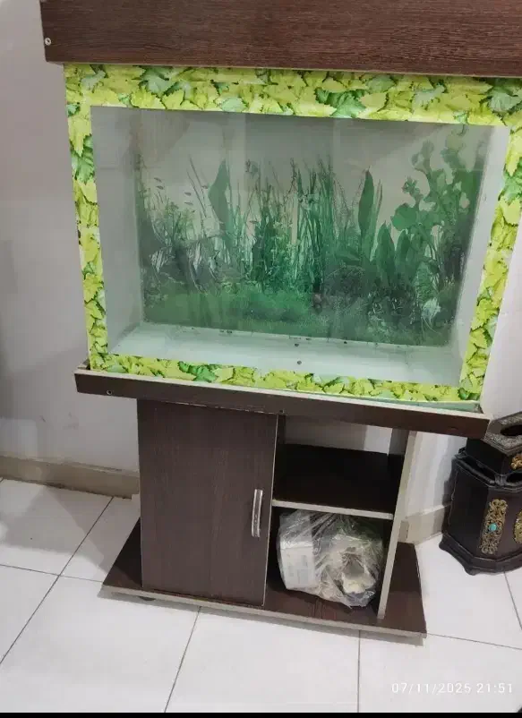 آکواریوم|ماهی|فردیس, شهرک شهید حسینی|دیوار