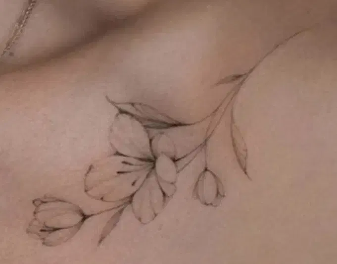 تخفیف پنجاه درصدی تتو روی کلیه طرح ها|خدمات آرایشگری و زیبایی|رشت, کاکتوس|دیوار