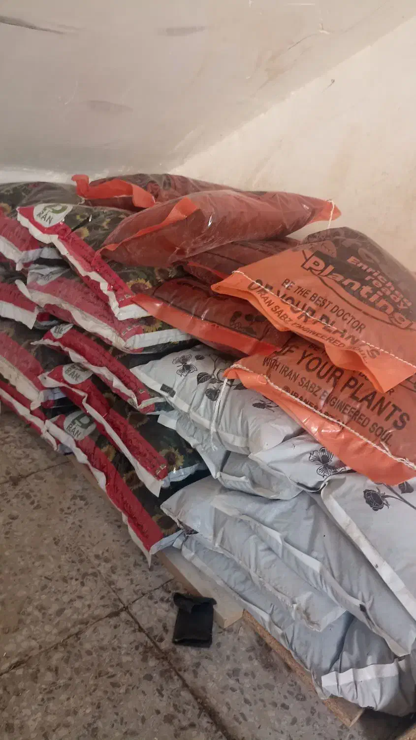 فروش پتوس ،بامبو.خاکبرگ و عود|گل و گیاه طبیعی|خورموج, |دیوار