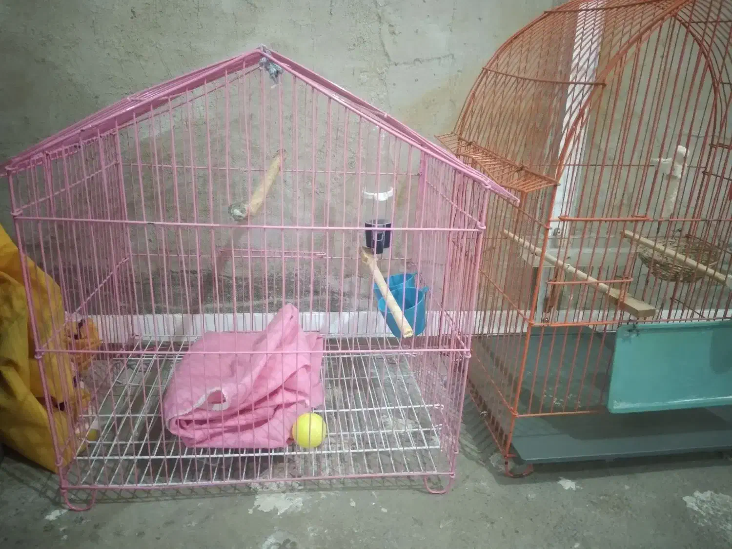 قفس|لوازم جانبی حیوانات|تکاب, |دیوار