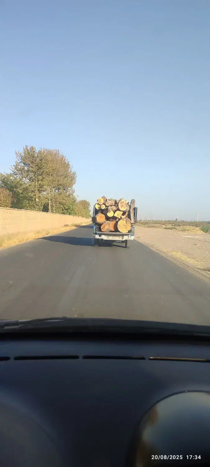 خرید انواع درخت و چوب|خدمات باغبانی و درختکاری|قزوین, |دیوار