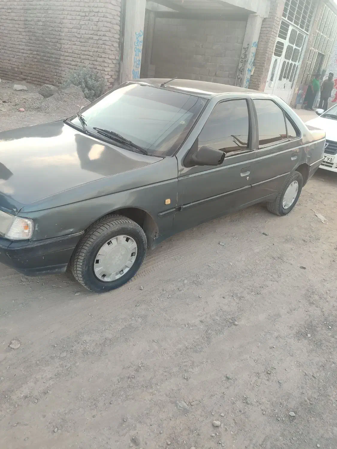 ۴۰۵ دلفینی تمام رنگ|خودرو سواری و وانت|جیرفت, |دیوار