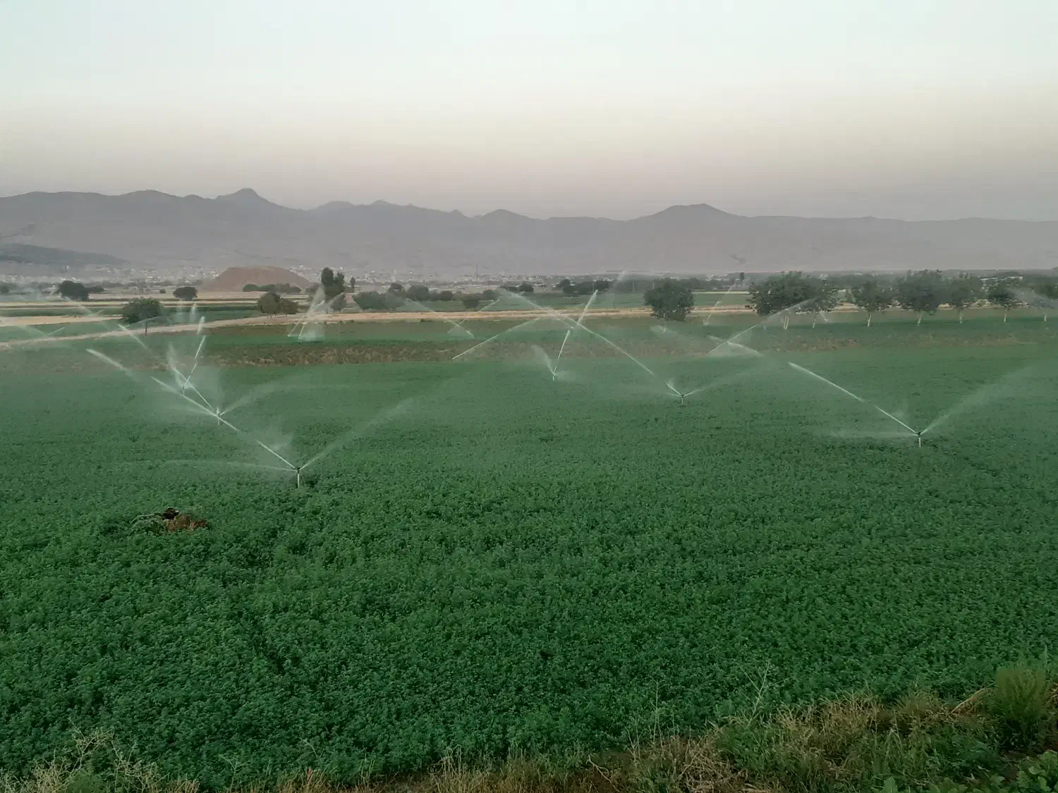 فروش دو هکتار زمین کشاورزی اسداباد خاکریز|فروش دفتر صنعتی، کشاورزی، تجاری|اسدآباد, |دیوار