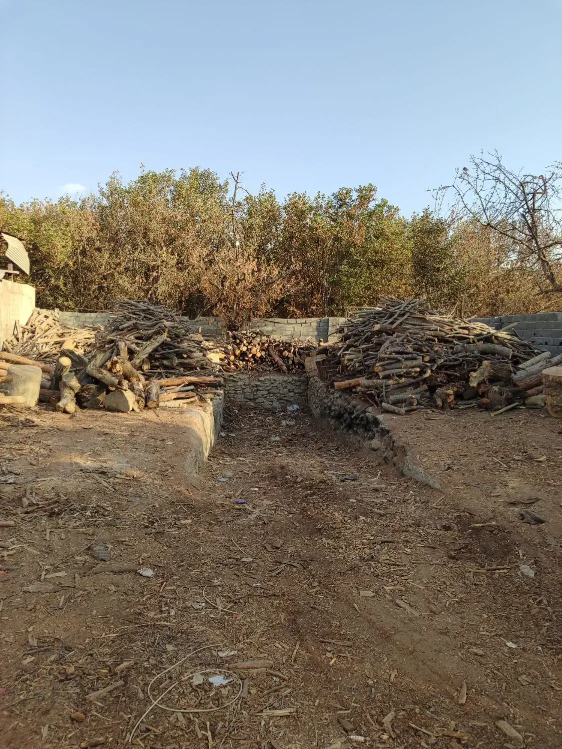 خریدو فروش چوب هیزمی و صنعتی|خدمات باغبانی و درختکاری|کرج, اتمسفر|دیوار