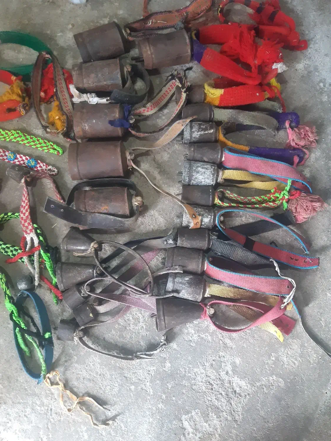 زنگوله|لوازم جانبی حیوانات|دورود, |دیوار