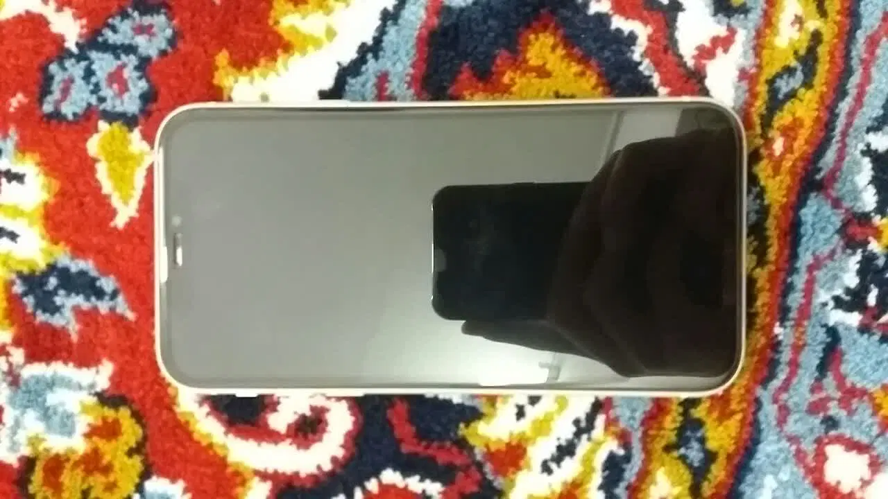 iphon11|موبایل|شهر ری, جوانمرد قصاب|دیوار