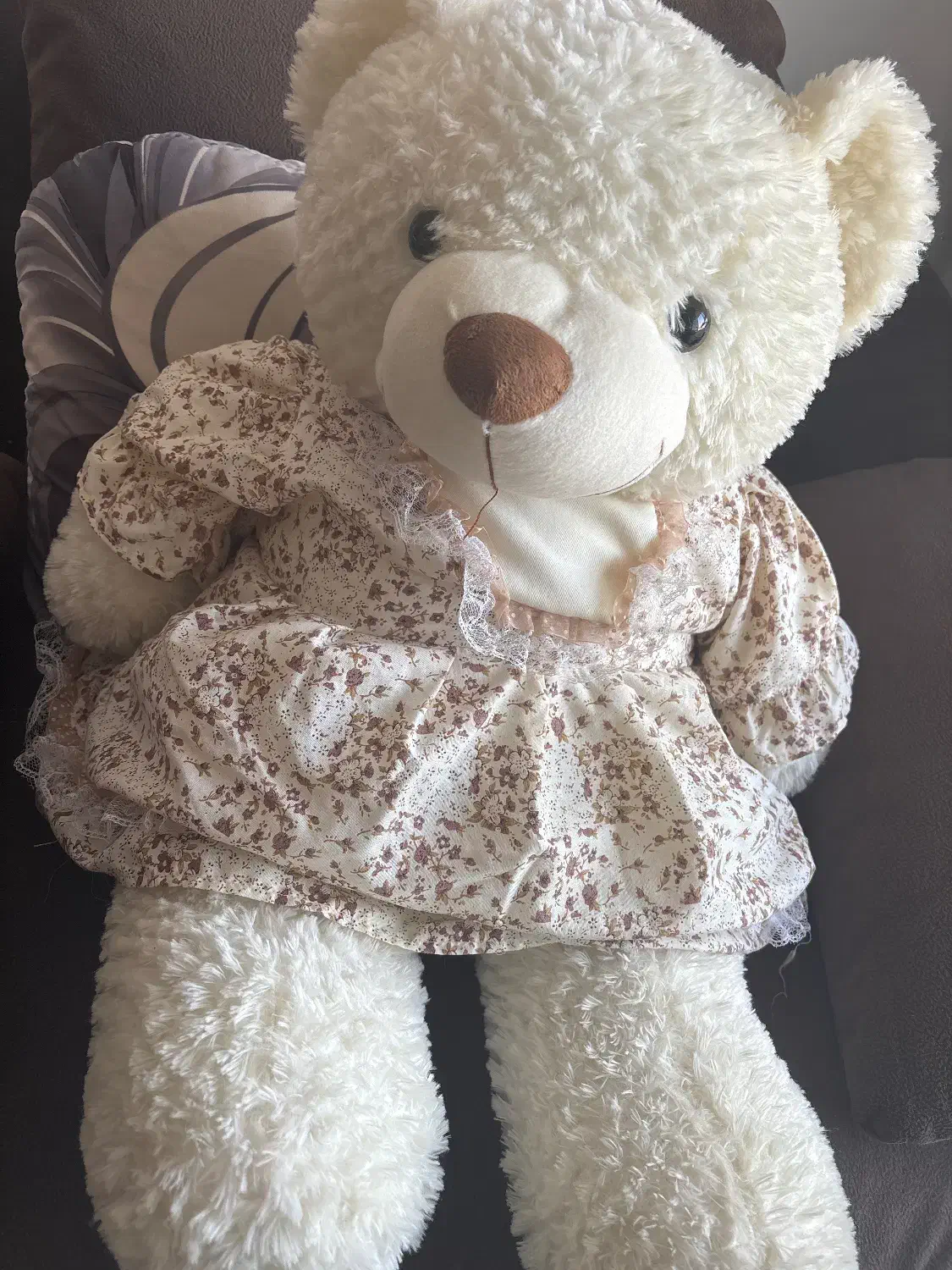 خرس متوسط کوچک|اسباببازی بچه|پردیس, فاز ۲|دیوار