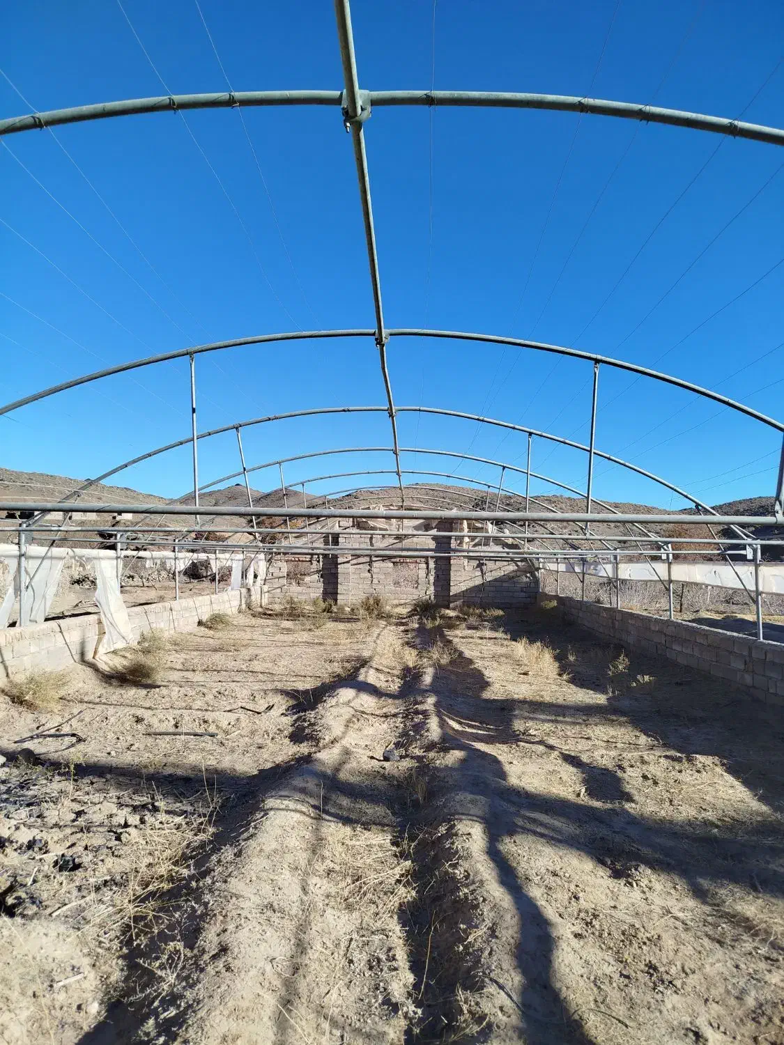 گلخانه فروشی|فروش دفتر صنعتی، کشاورزی، تجاری|زاهدان, |دیوار