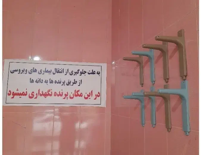 دانه فروشی  پرندگان دهلران چهاراآموزش پرورش|لوازم جانبی حیوانات|دهلران, |دیوار